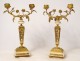 Pair candlesticks 2 lights Louis XVI flowered gilded bronze crystal marble XIXth