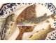 Oval dish earthenware fish trompe-l&#39;oeil Léon Brard School Tours XIXth