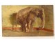 Small HSP animal painting Atelier René Hérisson elephant dog study 19th
