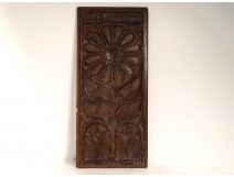 Decorative panel carved wood paneling flowers shells XVIIIth century