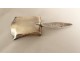 Spice shovel sterling silver English Birmingham William Pugh 8.81gr 1810