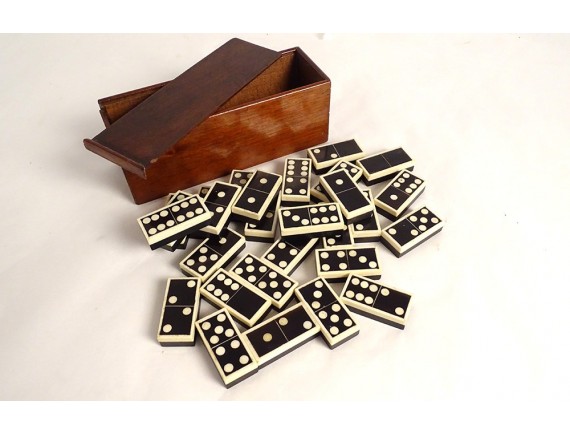 Goki - 2041390 - Jeu De Connaissance - Dominos en Coffret Bois