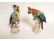 2 polychrome German porcelain parrots flowers late 19th early 20th century