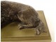 Sculpture gilt bronze paperweight dog lying spaniel XIXth century