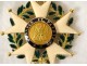 Medal Legion of Honor Star Commander 18K gold enamel Napoleon III XIXth