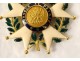 Medal Legion of Honor Star Commander 18K gold enamel Napoleon III XIXth