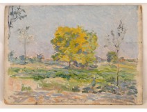 HSC post-Impressionist painting &quot;yellow trees&quot; Henri Dreyfus-Lemaitre 19th