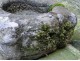 Benitier stone granite, Britain, 17th