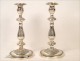 Pair of Candlesticks Bronze Silver Flowers Food 19th