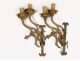 pair of gilt bronze sconces Gothic Fleurs de Lys 19th