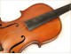 Luthier Mirecourt Violin Maggini Brescia entire 19th