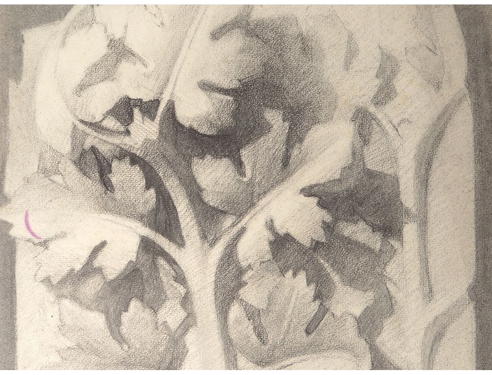 Dessin Art Déco 1926 - Fusain Et Craie Blanche, étude D'arbre Fruitier Et Fleurs, œuvre D'art Vintage