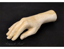 Plaster sculpture hand study 20th