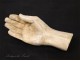 Plaster sculpture hand study 20th