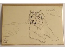 Dessin fusain animalier orang-outan Atelier René Hérisson étude XIXè XXème