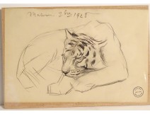 Dessin fusain animalier orang-outan Atelier René Hérisson étude XIXè XXème