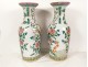 Paire grands vases porcelaine chinoise paon faisan oiseaux Tongzhi XIXème