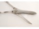 Grape scissors silver with punches English nineteenth