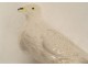 Sculpture faïence goût Bavent oiseau mouette décoration toiture faitage XXè