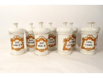 8 apothecary pharmacy pots Paris porcelain flower cup Jalap 19th century