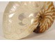 Nautile décoratif coquillage sculpté nacre bagnard Nouvelle Calédonie XIXè