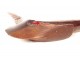 Casse-tête Kanak massue Nouvelle-Calédonie Mélanésie bec oiseau Kagu XIXème