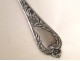 Spoon sprinkle silver metal with foliage nineteenth