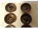 18 hunting hunting buttons gilded metal enamelled duck collection 19th century