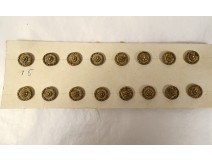 16 petits boutons de livrée Louis XVI métal doré collection XIXème siècle