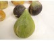 Ensemble 8 fruits marbre Carrare polychrome pommes figues abricot XIXème