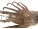 Bronze crayfish sculpture Japan Meiji period late 19th century