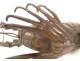 Sculpture bronze écrevisse Japon époque Meiji fin XIXème siècle