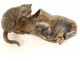 Petite sculpture bronze de Vienne polychrome chat souris soulier XIXème