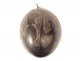 Demi-calebasse noix coco sculptée personnages chien Nouvelle Calédonie XIXè