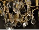 Chandelier Crystal chandelier and gilt bronze, nineteenth