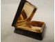 Horn box lined with gold leaf Count Paul de la Moussaye Brittany 19th century