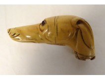 Antique ivory cane pommel carved greyhound dog head 19th century