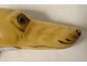 Antique ivory cane pommel carved greyhound dog head 19th century