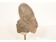 Pre-Columbian sculpture Olmec character Las Bocas Mexico land suite
