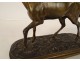 Bronze sculpture equestrian statue animal horse 19th century