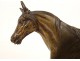 Bronze sculpture equestrian statue animal horse 19th century