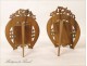 Pair of carved wooden frames straw marquetry Bird 19th