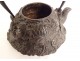 Japanese Tetsubin teapot cast iron peony chrysanthemum Japan Meiji 19th century