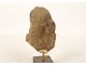 Fragment pre-Columbian sculpture man head Tumaco La Tolita terracotta