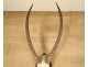 Hunting trophy massacre horns African buffalo Caffer Africa decoration 20th