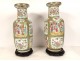 Pair of Chinese porcelain vases Canton characters birds butterflies 19th century