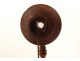 Insect magnifying glass butterfly entomologist microscope wood late 19th century