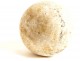 Large apothecary mortar with ears, grey marble, alabaster pestle, 18th century