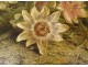 HST painting John Fitz Marshall still life flowers passionflower 1890 19th century