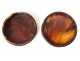 Round tortoiseshell box miniature painted portrait of Queen France Mary Stuart 19th